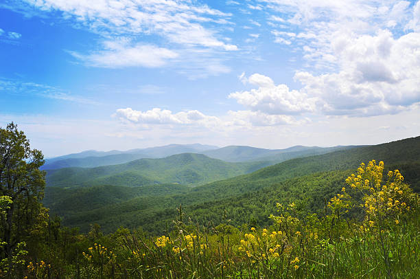 montanhas blue ridge, appalachians, virgínia - blue ridge mountains appalachian mountains appalachian trail forest imagens e fotografias de stock