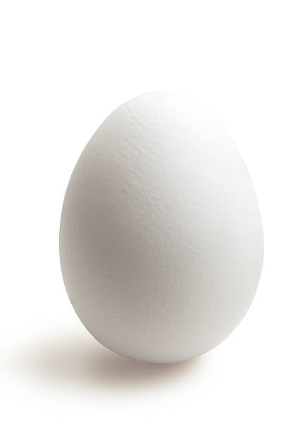 Isolated white egg in white background White egg isolated on white boiled egg cut out stock pictures, royalty-free photos & images