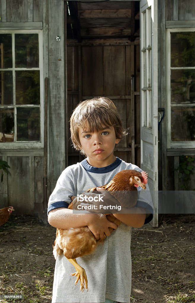 Kleiner Junge hält ein Hühnchen aus Freilandhaltung - Lizenzfrei Agrarbetrieb Stock-Foto