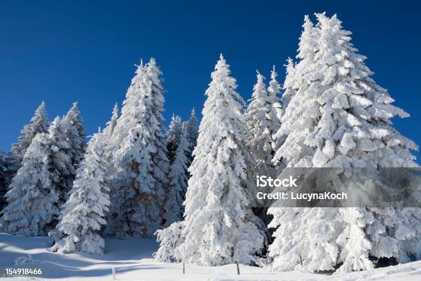 Bäume Im Schnee Bedeckt Stockfoto und mehr Bilder von Alpen - Alpen, Baum, Bildhintergrund