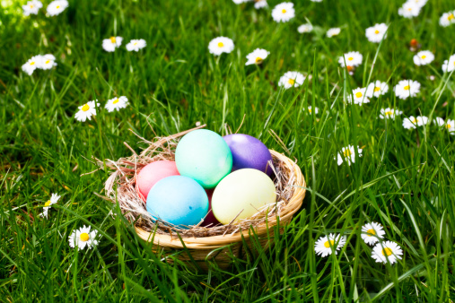 basket filled with easter eggs outdoors in grass