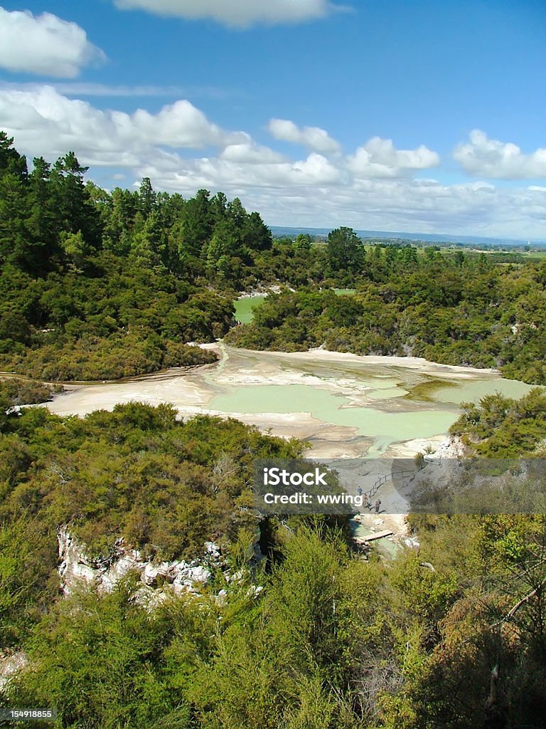 Geotérmica paisagem de Nova Zelândia - Foto de stock de Calor royalty-free