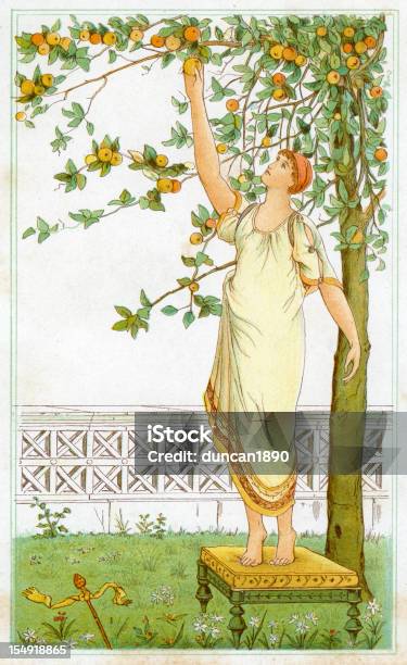 Cueillir Orange Vecteurs libres de droits et plus d'images vectorielles de Femmes - Femmes, Fruit, Style grec classique