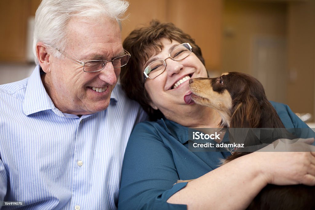 Süße altes Paar Lächeln mit Welpe - Lizenzfrei Hund Stock-Foto