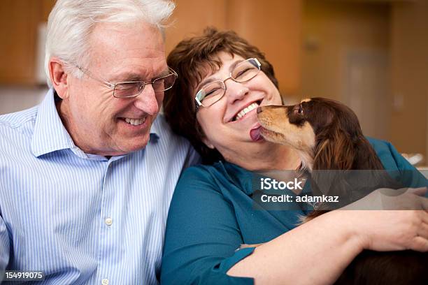 Süße Altes Paar Lächeln Mit Welpe Stockfoto und mehr Bilder von Hund - Hund, Menschliches Gesicht, Lecken
