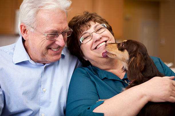 istock Cute Senior Couple Smiling with Puppy 154919075