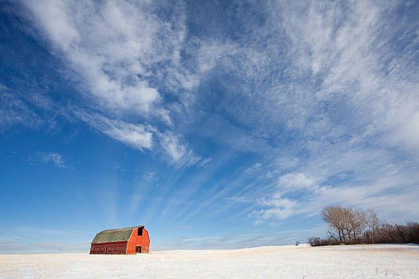 celeiro vermelho na prairie - prairie farm winter snow - fotografias e filmes do acervo