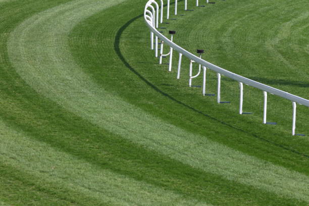 istock Horse Racing Track 154919376