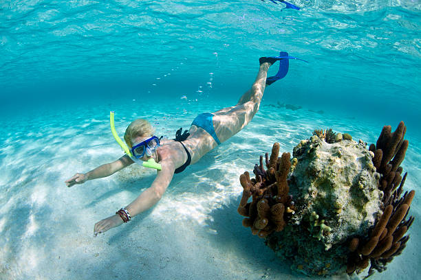 Young woman snorkeling in tropical lagoon