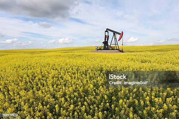 Pumpjack In Canola Field In Alberta Canada Stock Photo - Download Image Now - Oil Pump, Agricultural Field, Canola