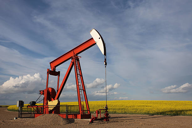 pumpjack - oil pump oil alberta canola 뉴스 사진 이미지