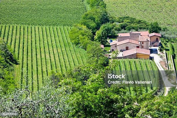 Valpolicella Vinhas Itália - Fotografias de stock e mais imagens de Agricultura - Agricultura, Ajardinado, Ao Ar Livre