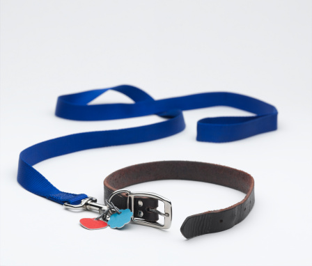 A dog leash with the collar open.  Unleashed