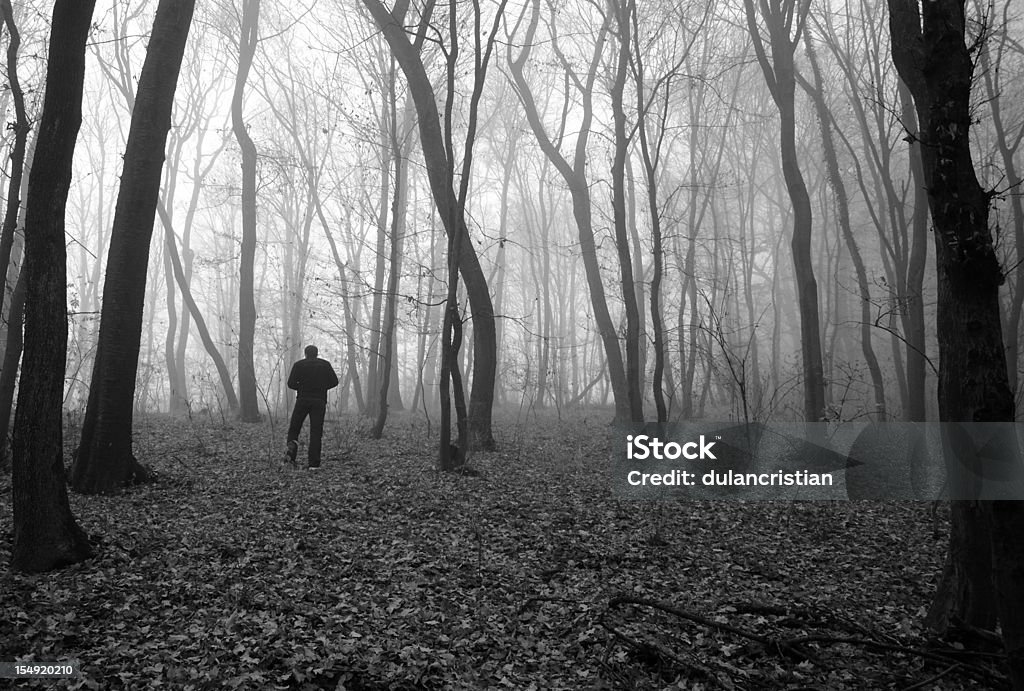 Perdido - Foto de stock de Bosque libre de derechos