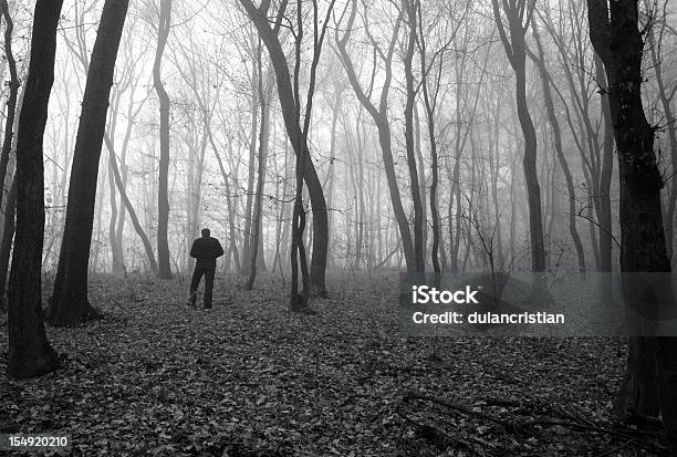 Perdido Foto de stock y más banco de imágenes de Bosque - Bosque, Boscaje, Blanco y negro