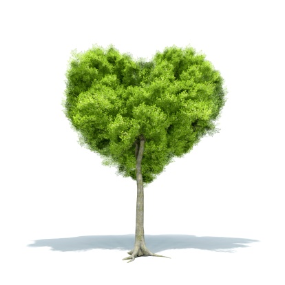 Ecology concept: Isolated heart shaped ash tree with projected shadow. Clipping path included to easily get rid of the shadow or to multiply it over your own background in an editing software. Subtle grain texture added.