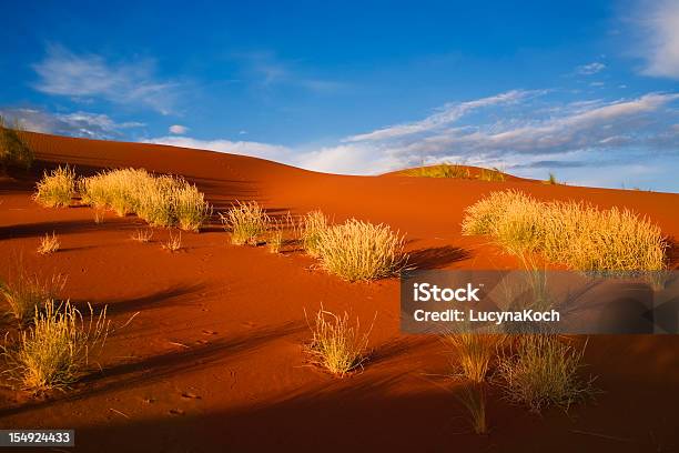 Desert Pflanze In Der Sandwüste In Namibia Stockfoto und mehr Bilder von Afrika - Afrika, Ausgedörrt, Australisches Buschland