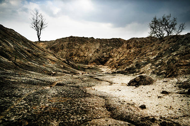 oscuridad, principal y paisaje con árbol muerto y sequedad del suelo. - mud terrain fotografías e imágenes de stock