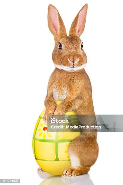 Ostern Rabbit Stockfoto und mehr Bilder von Osterhase - Osterhase, Kaninchen, Ostern