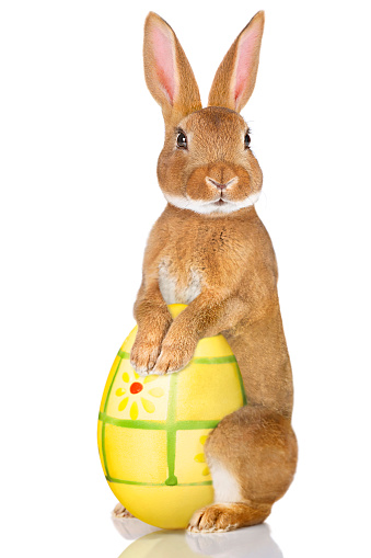 Close-up image of colored Easter eggs on pussy willow bouquet with hay bunny in the middle. Front view on beige background with copy space