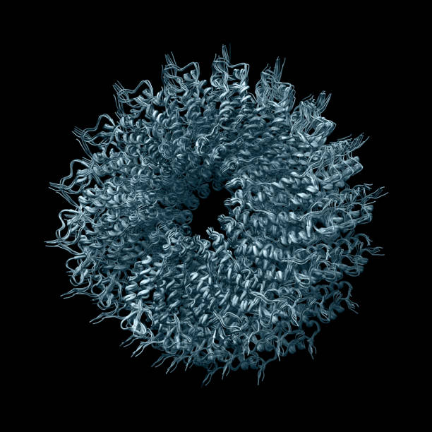 Model of a tobacco mosaic virus (TMV) capsid.
