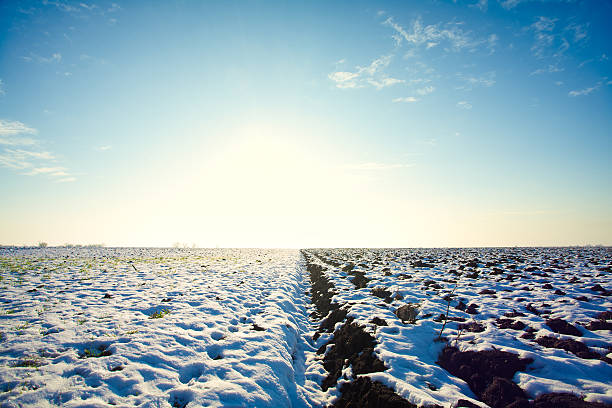Ploughed endless wheat field under the winter snow. Sunset over horizon