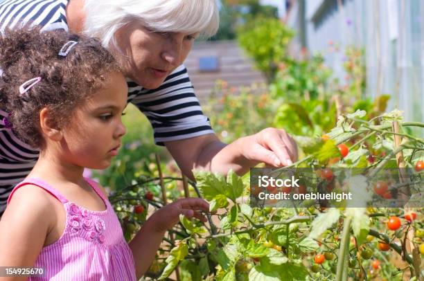 Avó E Neta Jardinagem - Fotografias de stock e mais imagens de Jardinagem - Jardinagem, Avó, Neta