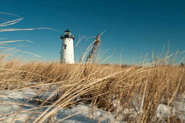Ground level view of a lighthouse in Edgartown Cape Cod LIghthouse with dried grass and snow in the foreground cape cod photos stock pictures, royalty-free photos & images