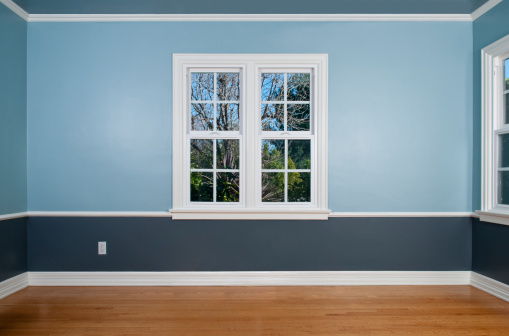 Empty room with window with view, wood flooring, blue wainscoting and a power outlet.