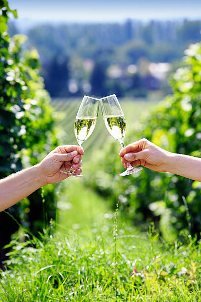 Toasting with two glasses of champagne in the vineyard stock photo