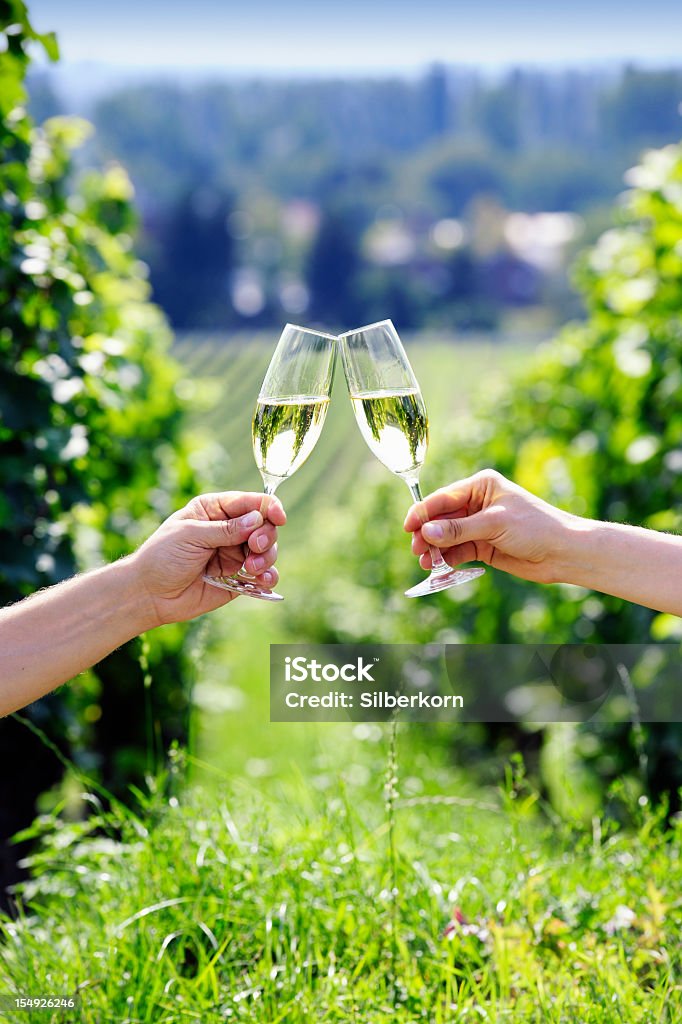 Brindando com dois copos de champanhe no vinhedo - Foto de stock de Champanhe royalty-free