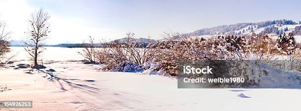 Winter Bäume In Der Nähe Von See Xxlpanoramalandschaft Stockfoto und mehr Bilder von Allgäu