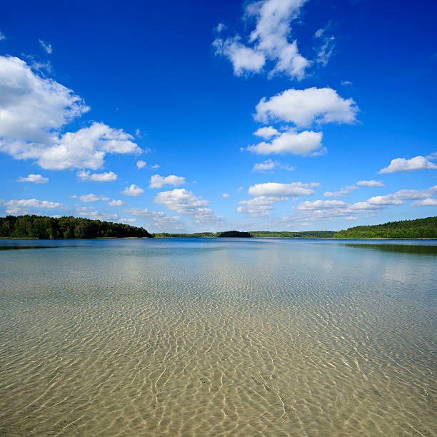Lake surrounded by Forest, Cumulus Clouds in Blue Sky