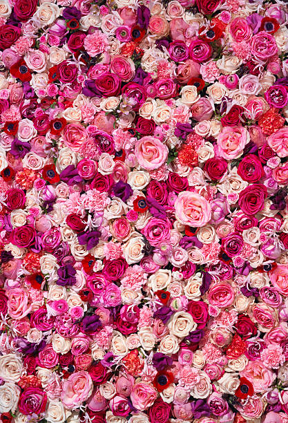 bett of blumen - rose colored stock-fotos und bilder