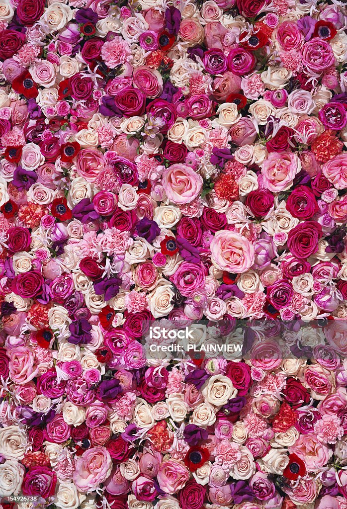 Bed of Flowers A large backdrop of different flowers (XXXL Size). Flower Stock Photo
