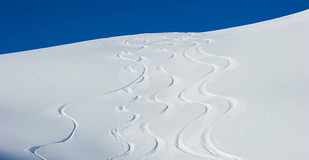 nuove linee - skiing snow mountain canada foto e immagini stock