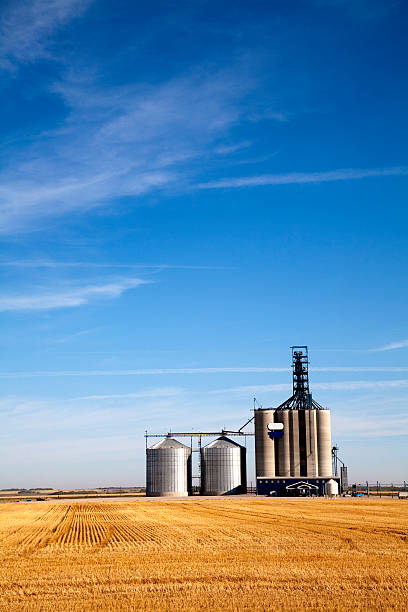 プレーリーのエレベーター - canada saskatchewan grain elevator prairie ストックフォトと画像