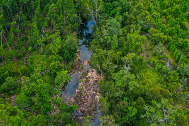 istock Upper Stony Creek, Byfield 1549271615