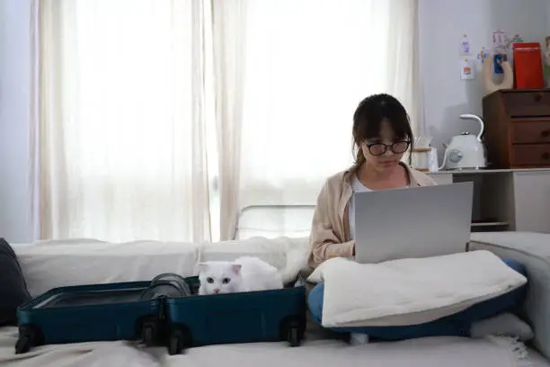 Photo of An attractive young woman in glasses is working on a laptop sitting on a sofa at home with a funny assistant cat in the luggage beside her. work from-home concept.