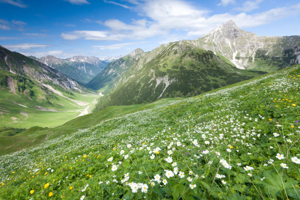 istock alpine view from the anhalter hut tirol, austria, alps 154930132