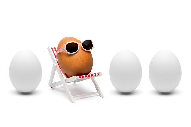 il segreto di uova marrone-humor lettino da sole - funny eggs foto e immagini stock