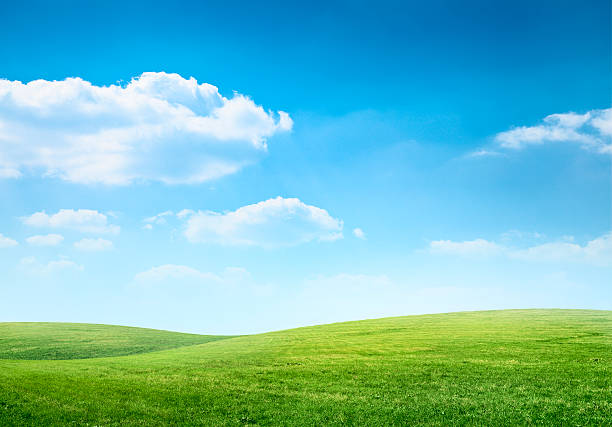 digitale komposition aus grünen wiese und blauer himmel - anhöhe fotos stock-fotos und bilder