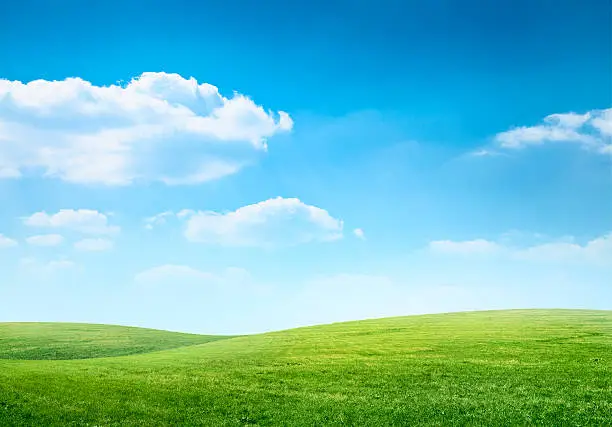 Photo of Digital composition of green meadow and blue sky