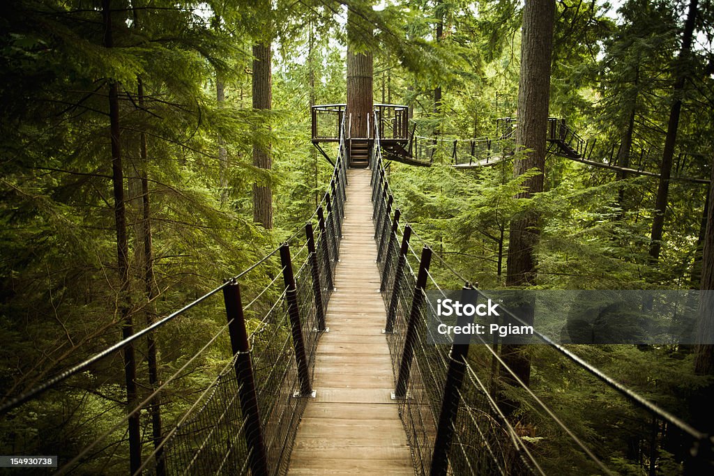 Capilano-Hängebrücke - Lizenzfrei Vancouver - Kanada Stock-Foto