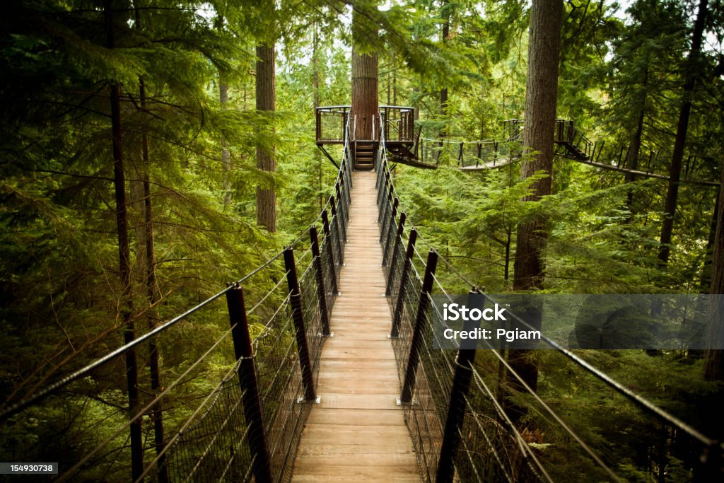 Puente colgante de Capilano - Foto de stock de Vancouver - Canadá libre de derechos