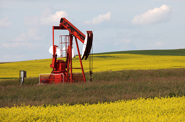 istock Red Pumpjack in a Canola Field 154930965