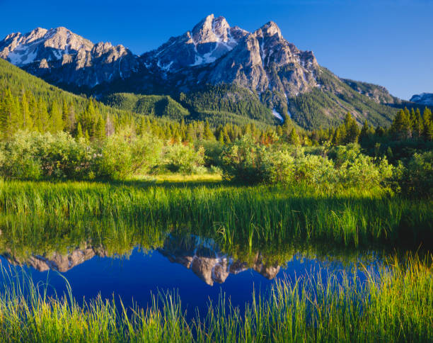 istock The Sawtooth Mountain Range, Stanley Idaho  (P) 154930997