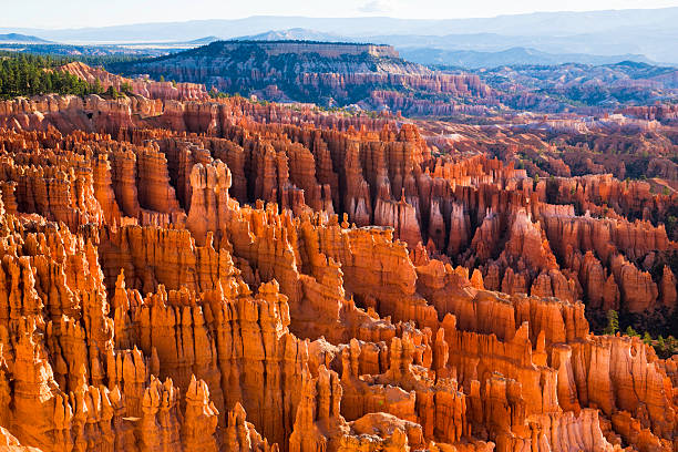 Luminous spires of Bryce Canyon National Park Bryce Canyon National Park - near Tropic Utah (UT). bryce canyon stock pictures, royalty-free photos & images