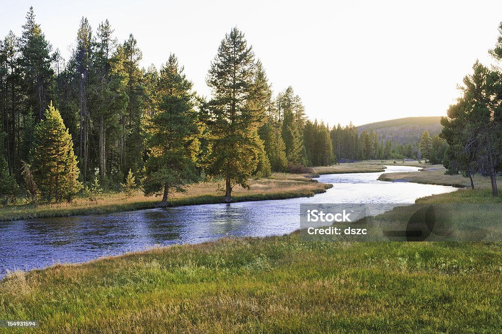 Nez Perce Creek im Yellowstone National Park bei Sonnenuntergang - Lizenzfrei Fluss Stock-Foto