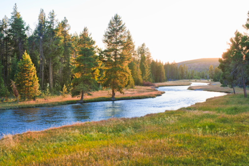 Nez percé Creek in Yellowstone National Park at sunset photo